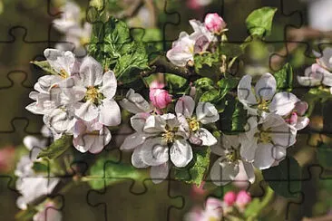 OK jigsaw puzzle