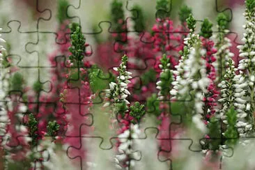 OK jigsaw puzzle