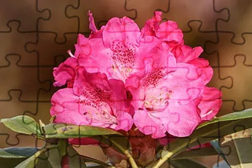 OK jigsaw puzzle