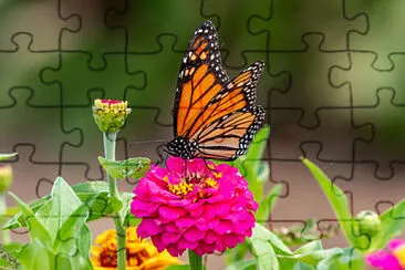 Foto jigsaw puzzle