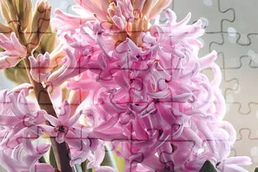 OK jigsaw puzzle