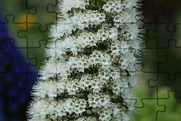 OK jigsaw puzzle