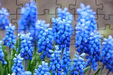 OK jigsaw puzzle