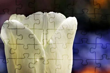 OK jigsaw puzzle