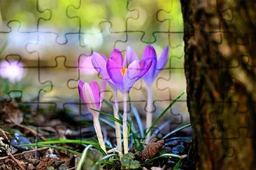 OK jigsaw puzzle