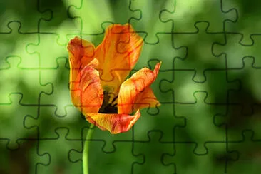 OK jigsaw puzzle