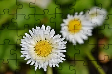OK jigsaw puzzle