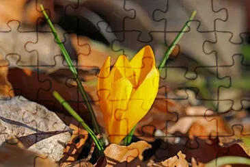 OK jigsaw puzzle