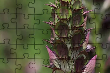 OK jigsaw puzzle