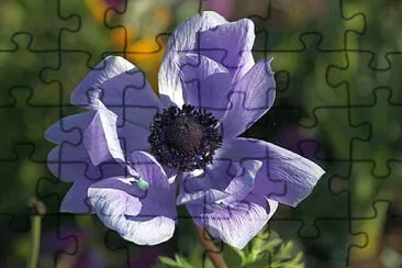 OK jigsaw puzzle