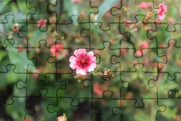 OK jigsaw puzzle