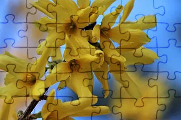 OK jigsaw puzzle