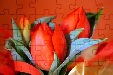 OK jigsaw puzzle