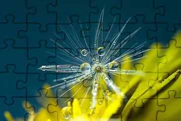 Toy jigsaw puzzle