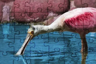 Toy jigsaw puzzle