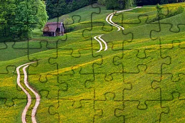 Toy jigsaw puzzle