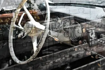 Toy
