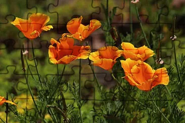 Toy jigsaw puzzle