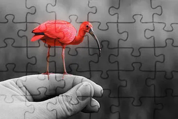 Toy jigsaw puzzle