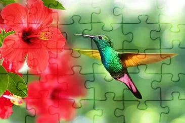 Toy jigsaw puzzle