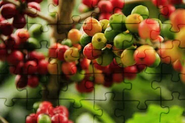 Toy jigsaw puzzle