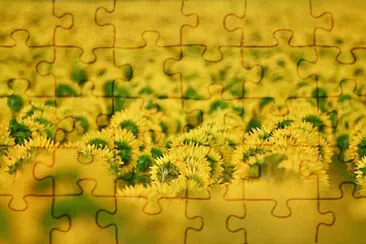 Toy jigsaw puzzle