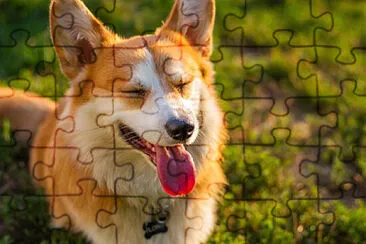 Toy jigsaw puzzle