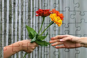 Toy jigsaw puzzle