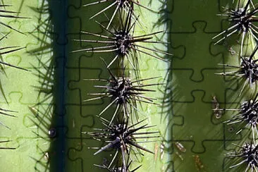 Toy jigsaw puzzle