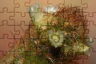 Toy jigsaw puzzle