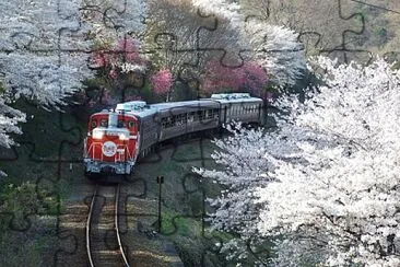 Tren jigsaw puzzle
