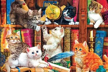 Chatons a la bibliotheque jigsaw puzzle