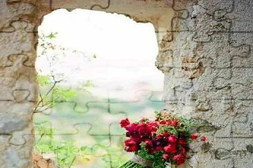 ventana