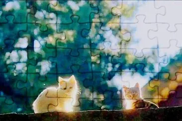 gato jigsaw puzzle