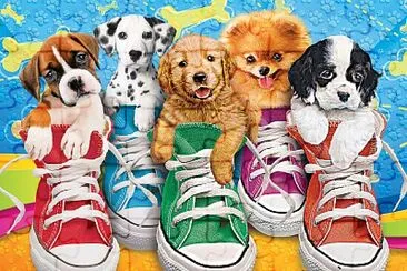פאזל של Dans les chaussures