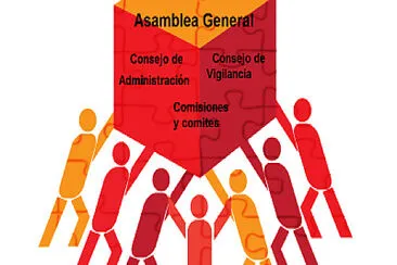 Organiza a tu cooperativa