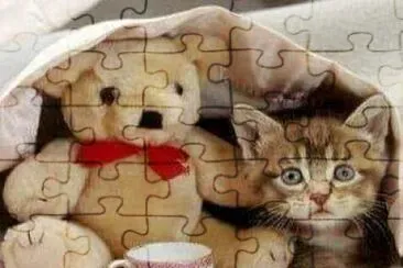 gato jigsaw puzzle