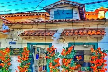Fachada florida jigsaw puzzle