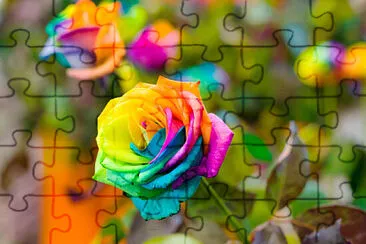 OK jigsaw puzzle