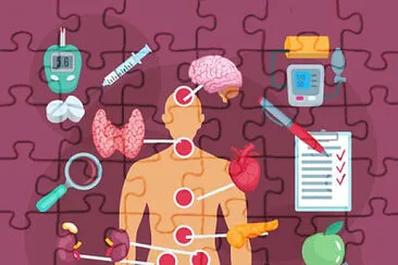 endocrino jigsaw puzzle