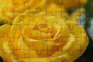  jigsaw puzzle