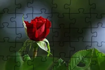 OK jigsaw puzzle