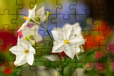 OK jigsaw puzzle