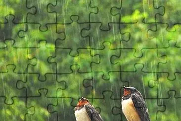 animales jigsaw puzzle
