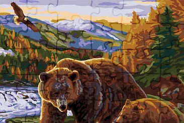 Osos jigsaw puzzle