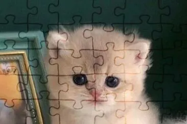 פאזל של Imm