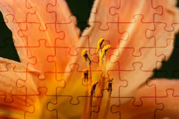 OK jigsaw puzzle