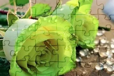  jigsaw puzzle