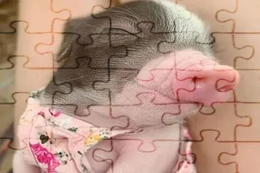 Imm jigsaw puzzle