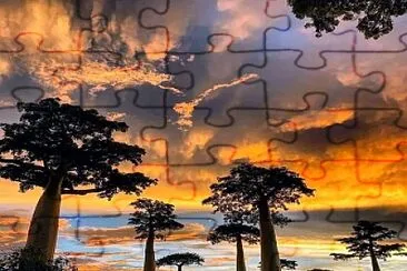 Madagascar